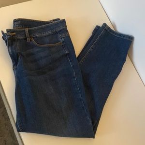 J Jill Authentic Fit Slim Ankle